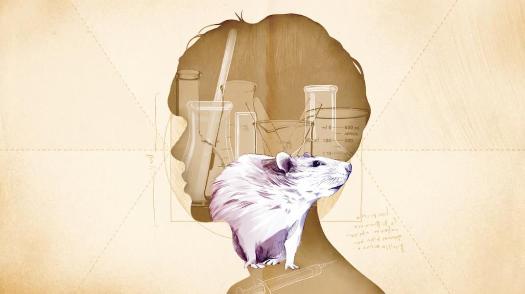 Experimentos con animales. Texto de Juan Sebastián Salazar. Ilustración de Lilondra.