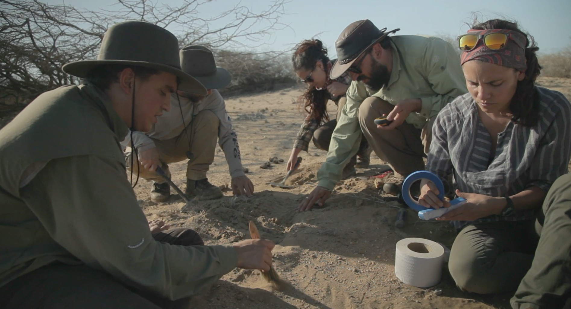 Misión ciencia - Paleontología 