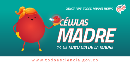 Células Madre - Día de la Madre 14 Mayo