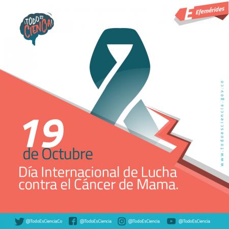 Día Internacional de la lucha contra el cáncer de mama.