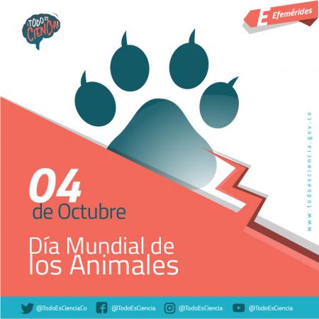 04 de Octubre - Día Mundial de los Animales