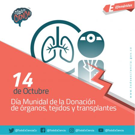 Día mundial de la donación de órganos