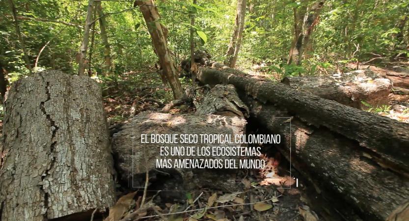 Misión ciencia - Bosque seco tropical