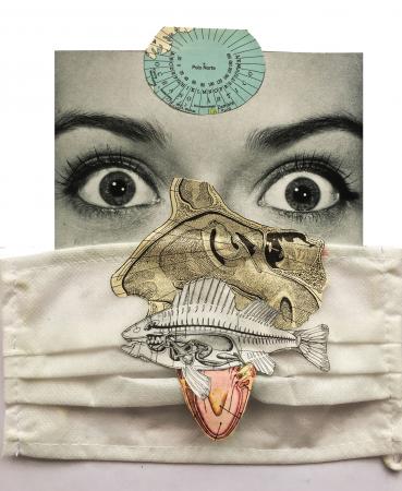 Artículo: Raras normalidades nuevas