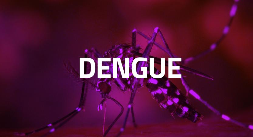 ¿Qué ha pasado con el Dengue? 