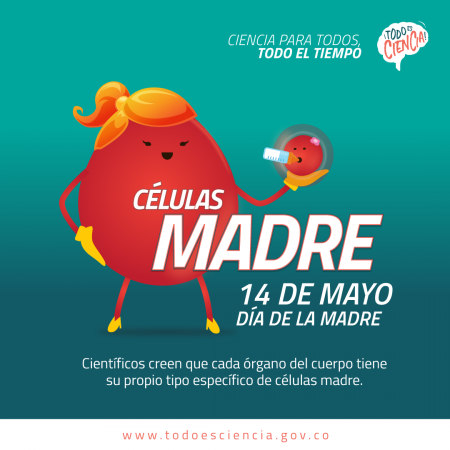 Células Madre - Día de la Madre